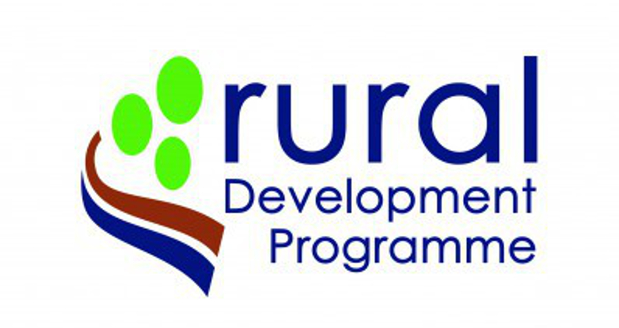 rural business investment scheme northern ireland