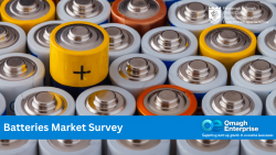 Batteries Market Survey