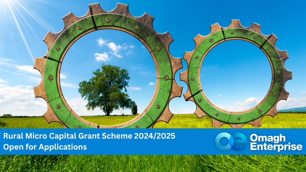 Two giant rustic green cogs in a field. A summer's day, with clear blue sky. A tree visible through the eye of the left cog. Blue banner along the bottom. White text "Rural Micro Capital Grant Scheme 2024/2025 Open for Applications" Omagh Enterprise logo within the bluw banner.