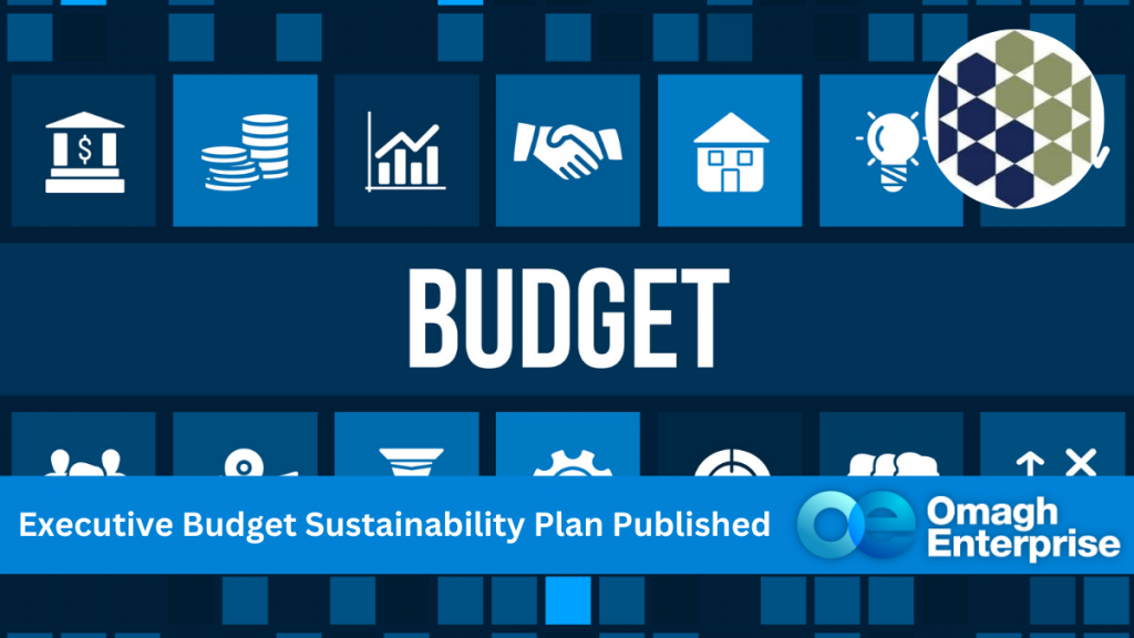 Image with icons representing finance, housing, and growth around the word "BUDGET." Text below reads "Executive Budget Sustainability Plan Published," and features the Omagh Enterprise logo.