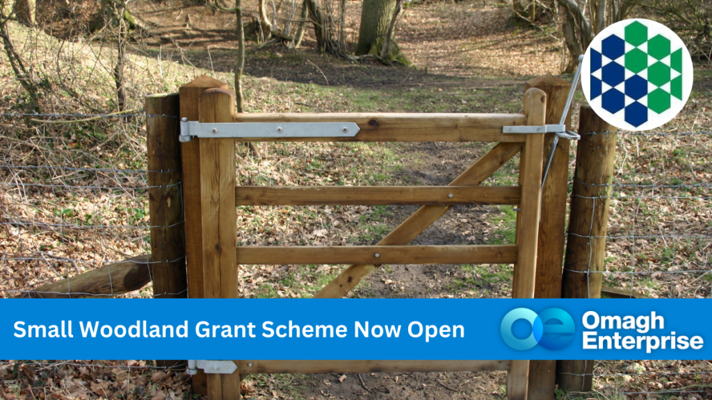 A wooden gate opens to a forest path covered in fallen leaves. A logo featuring blue and green geometric shapes is in the top right corner. A blue banner at the bottom reads, Small Woodland Grant Scheme Now Open - Omagh Enterprise.