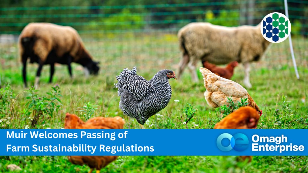 Chickens and sheep grazing in a green pasture. A banner at the bottom reads, Muir Welcomes Passing of Farm Sustainability Regulations, with a logo on the right stating Omagh Enterprise.