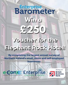 Promotional graphic offering a £250 voucher for the Elephant Rock Hotel as part of a survey for small businesses in Northern Ireland. Logos of e-conomics, Enterprise NI, and British Business Bank shown.