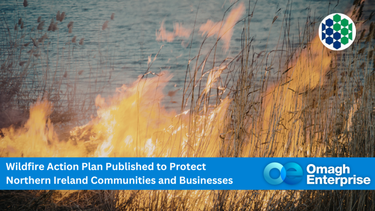 Tall grass burning near water, with a banner stating "Wildfire Action Plan Published to Protect Northern Ireland Communities and Businesses" and the Omagh Enterprise logo.