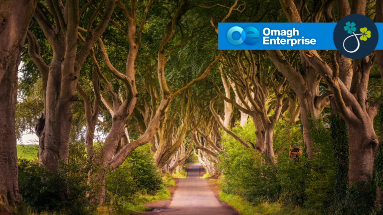The famous Dark Hedges; the Omagh Enterprise logo appears in the top right corner.